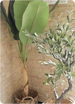 Redes sociales Kaihome